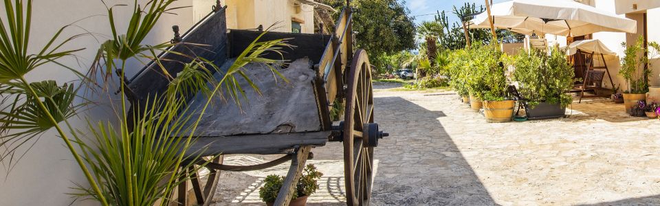 Agriturismo Trapani_Outdoor Agriturismo Trapani_Outdoor