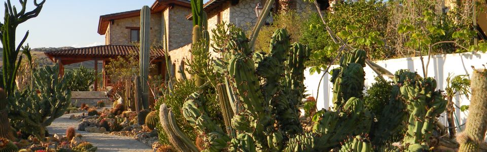 Agriturismo Valley of the temples Agriturismo Valley of the temples