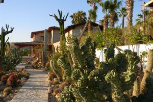 Agriturismo Valley of the temples Agriturismo Valley of the temples